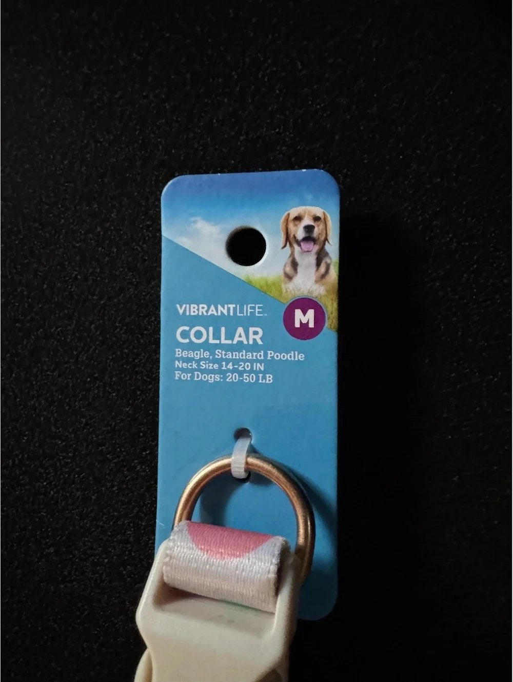 Vibrant Life Medium Dog Collar for Beagle and Standard Poodle, Neck Size 14-20in